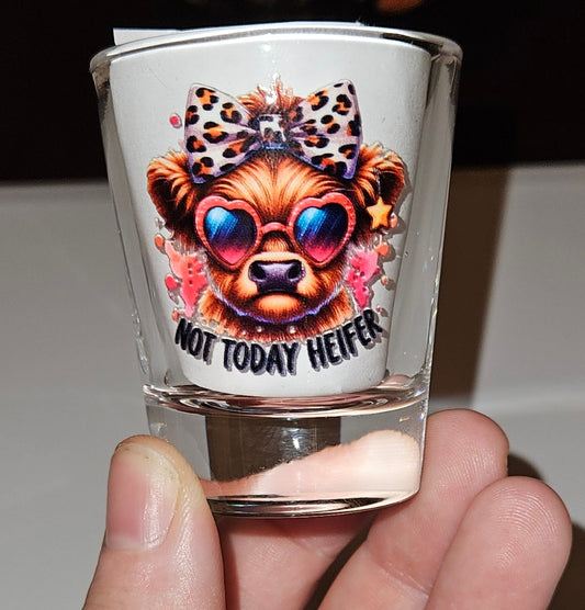 Shot Glasses with different pictures and sayings !!