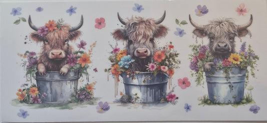 3 highland cows in water buckets cup wrap decal