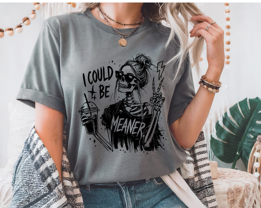 I Could be Meaner Shirt Transfer